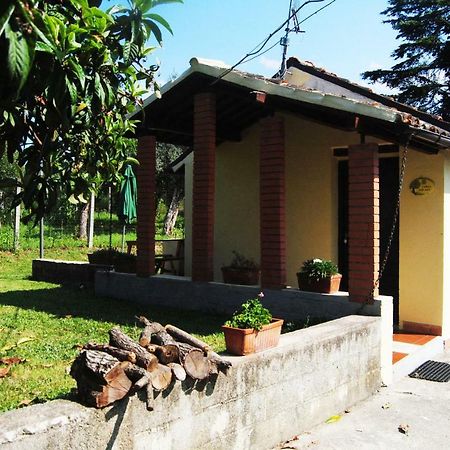 L'Albero Delle Noci Villa Lanciano Bagian luar foto